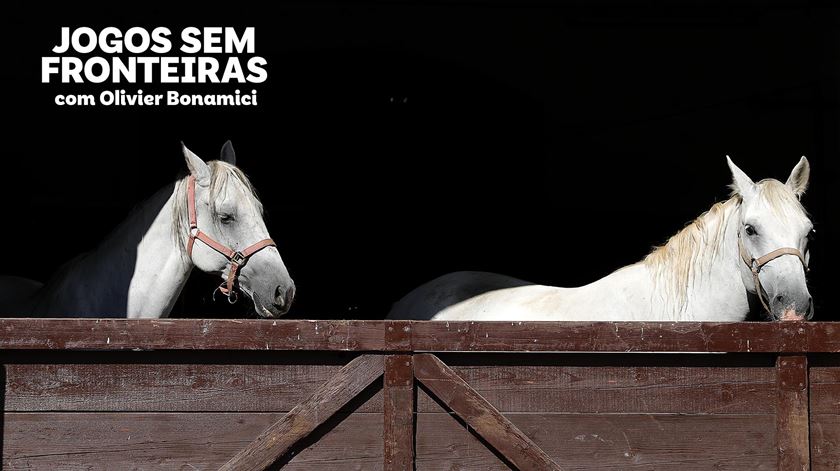 Homem vs Cavalo - Jogos sem Fronteiras - Renascença V+