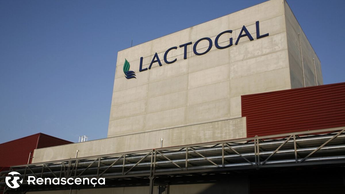 Trabalhadores da Lactogal em greve por aumentos salariais