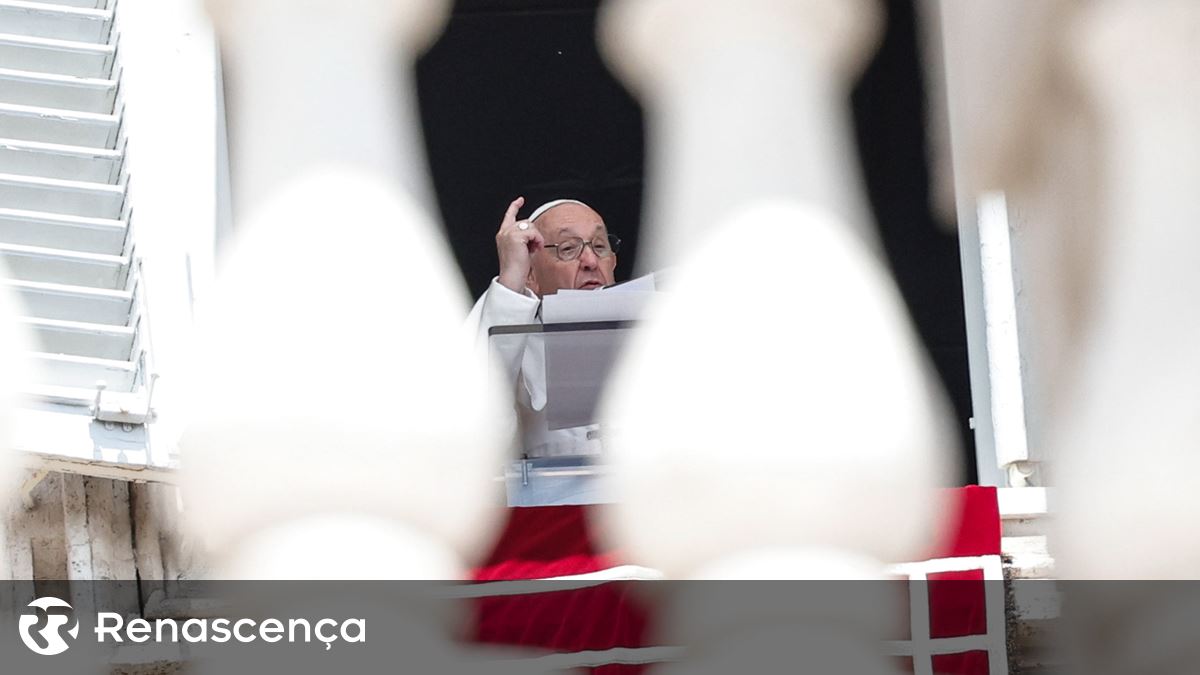 Papa fala sobre Sudão: renovo meu apelo para que a violência cesse o mais  rápido possível