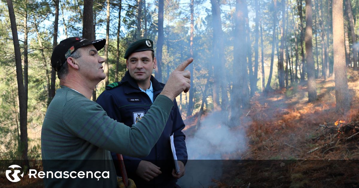 Falta de limpeza de terrenos. GNR sinalizou mais de 10 mil casos, mas só aplica coimas após sábado