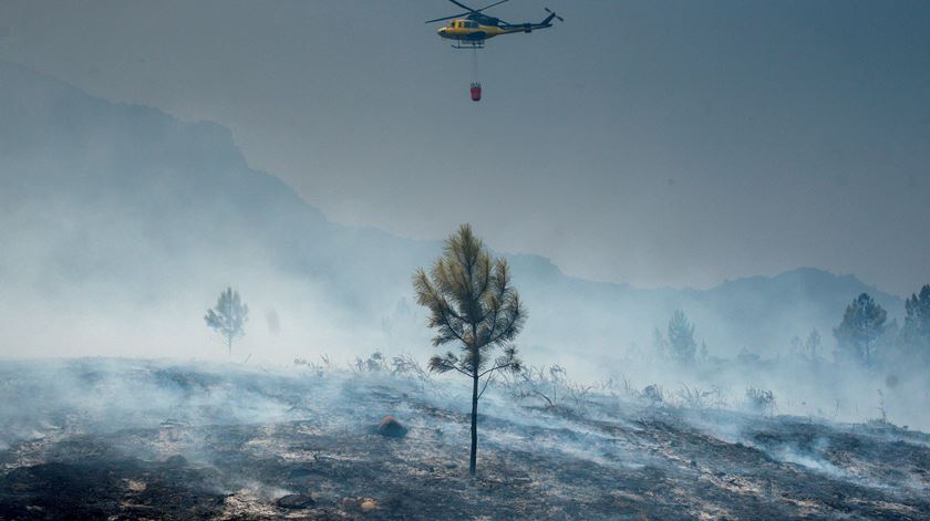 Área ardida em Lobios, Espanha, no incêndio que lavrou também no Parque Nacional da Peneda Gerês. Foto: Brais Lorenzo/EPA