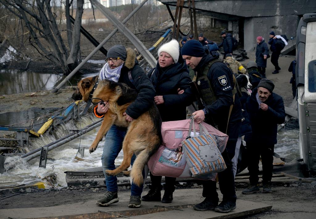 Refugiados fogem de Irpin, na Ucrânia, com cão ao colo, após bombardeamentos russos. Foto: Maksim Levin/Reuters