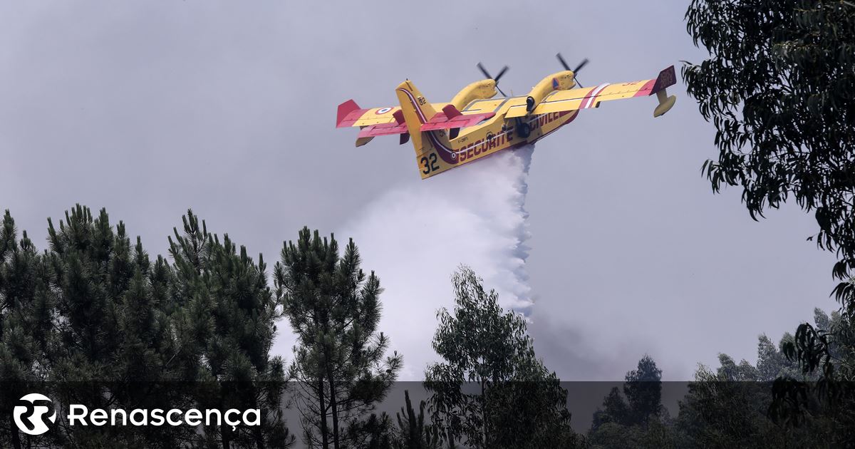 Calor põe em perigo máximo de incêndio cerca de 50 concelhos