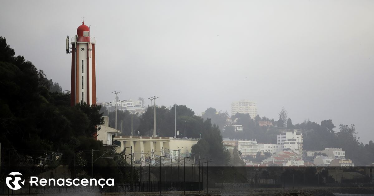 Dez distritos sob aviso amarelo a partir de segunda-feira devido a agitação marítima