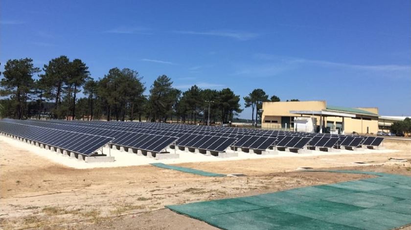 Painéis fotovoltaicos na base aéra de Monte Real. Foto: Teresa Paula Costa/RR