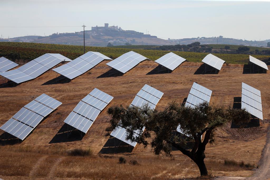 Central de energia solar de Montes Novos em Estremoz Foto: Nuno Veiga/Lusa