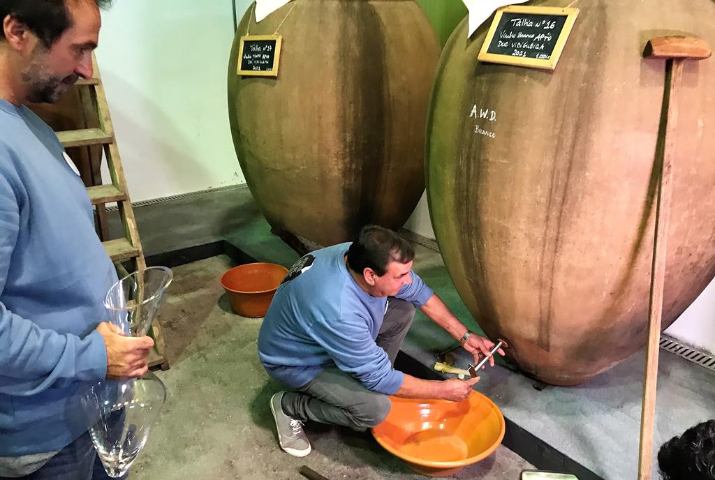O Alentejo continua a preservar tradição milenar do vinho de talha. Foto: Rosário Silva/RR