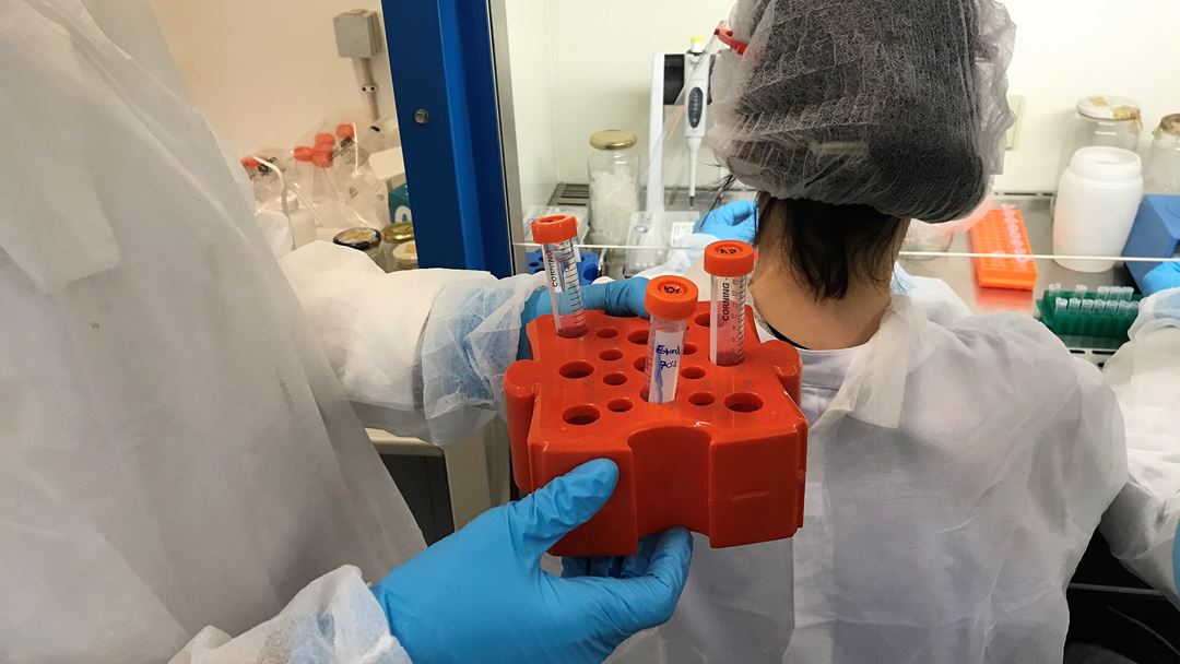 Laboratório de Virologia Vegetal (LVV) vai fazer 4 mil testes à covid-19. Foto:Rosário Silva/RR
