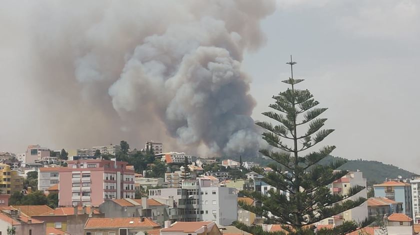 Incêndio em Palmela visto a partir da avenida Luisa Tody, em Setúbal. Foto: Filipa Martins