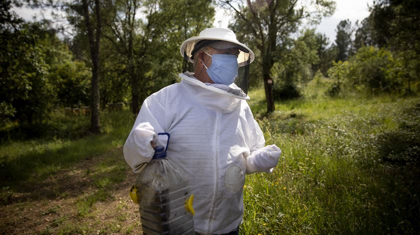 Bráulio Henriques, apicultor em Pedrógão Grande, decidiu investir no negócio depois do incêndio de 2017 e quadruplicou o número de colmeias.