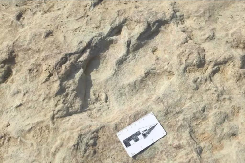 Descoberta uma nova espécie de dinossauro gigante na Península Ibérica