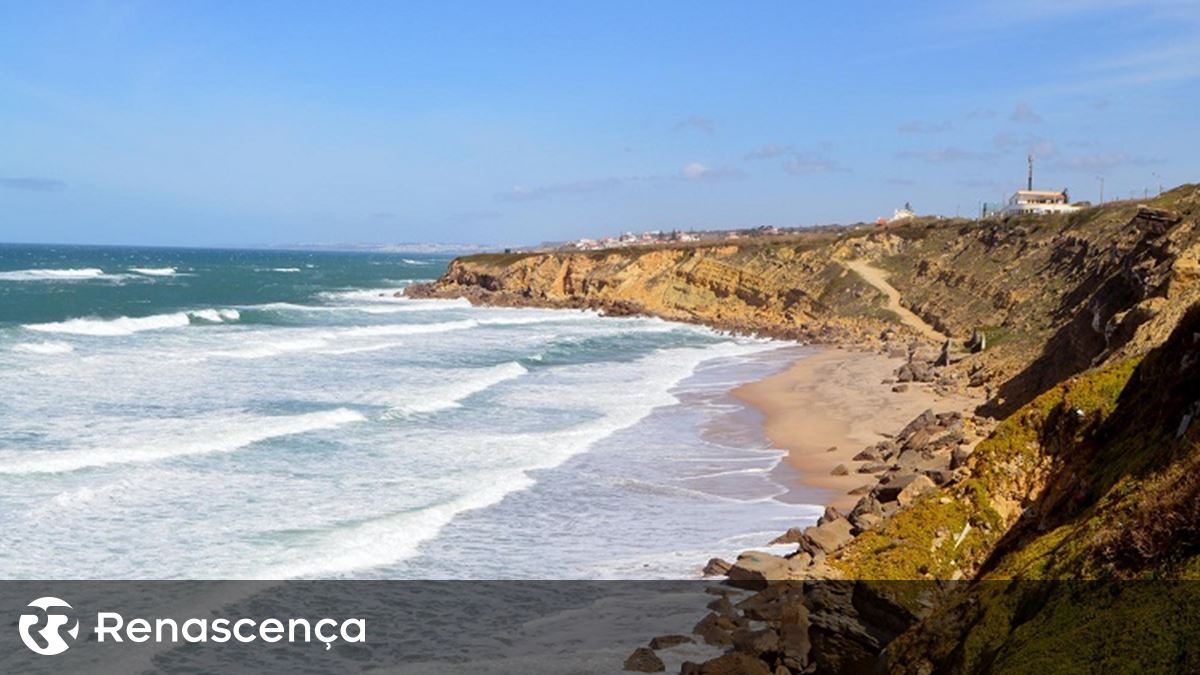 Fotografia de mexilhões em praia de Sintra recebe menção em prémio britânico