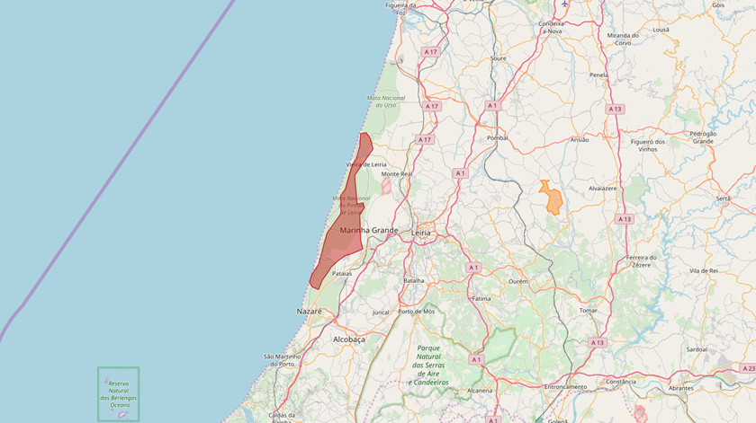 Pinhal de Leiria - Área ardida, segundo os dados do EFFIS actualizados na tarde de segunda-feira.