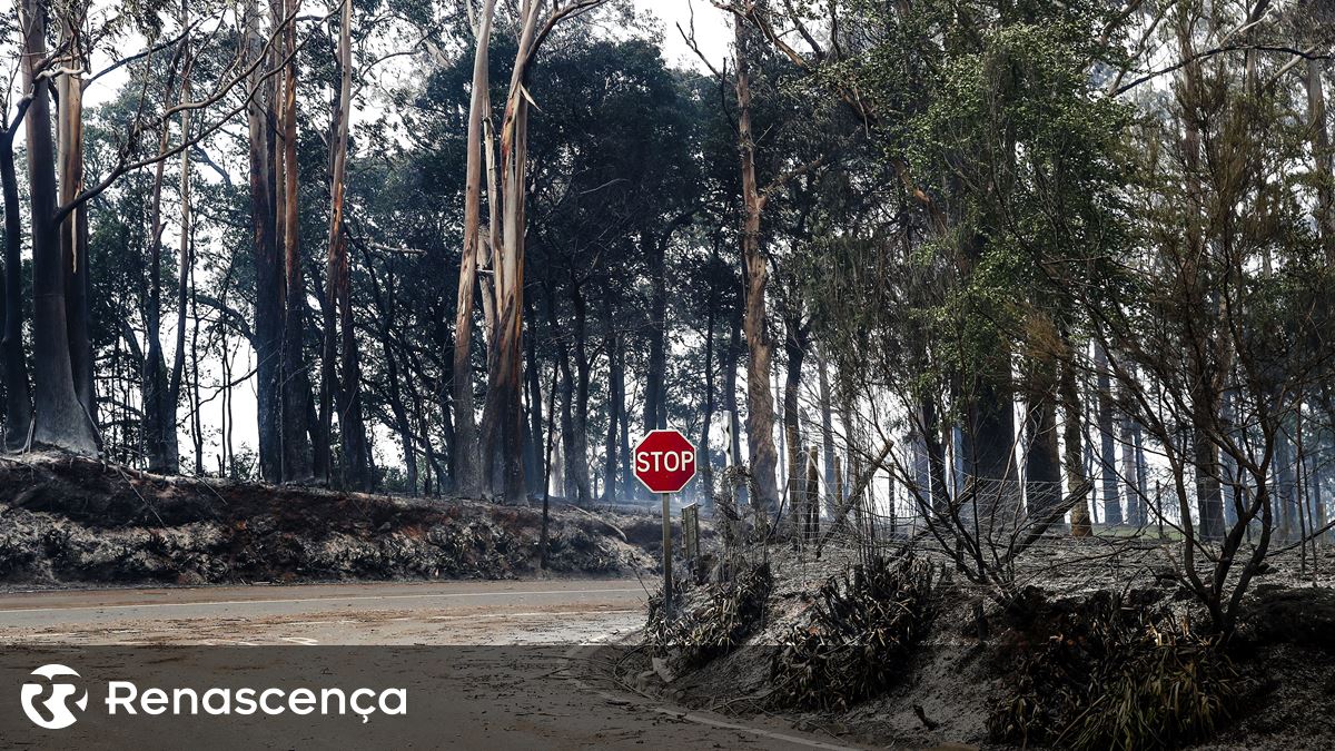 Europa com prejuízos de mais de 13.400 milhões de euros devido às alterações climáticas