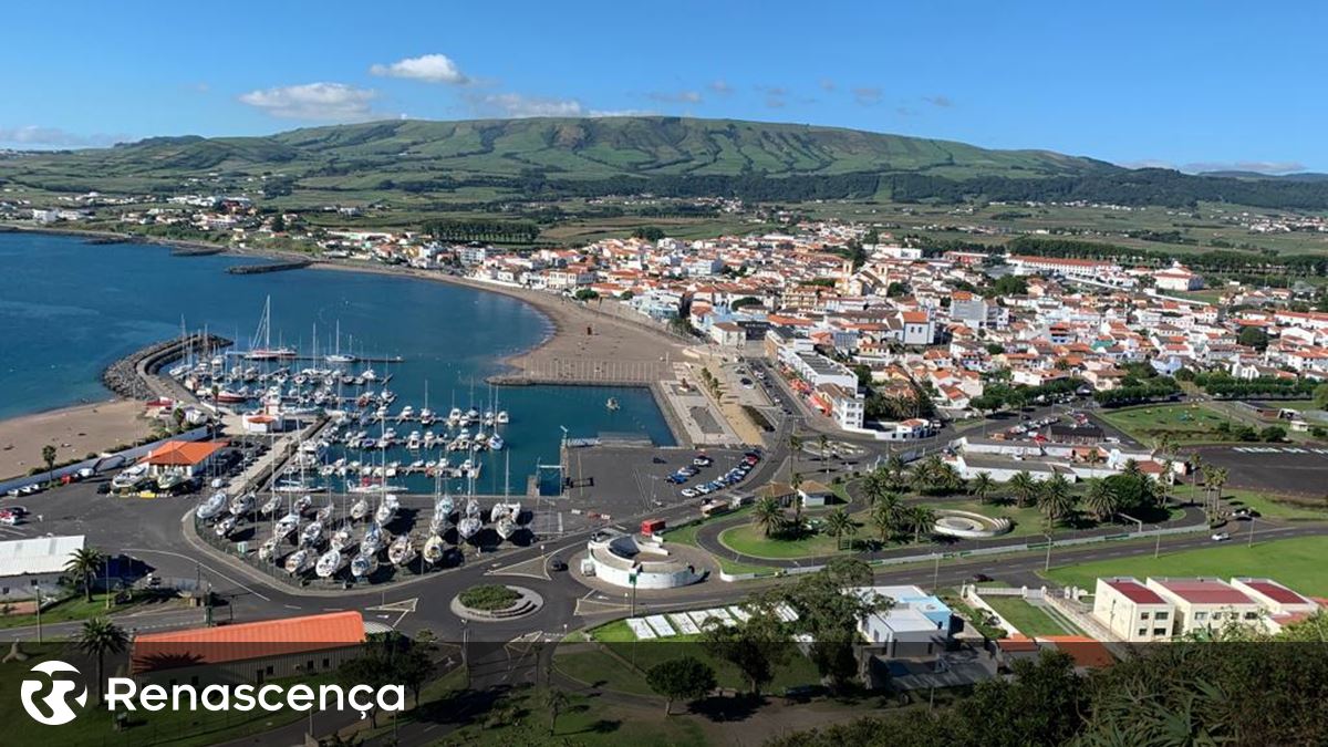 GNR apreende 12,8 quilos de lapas em São Jorge e na Terceira