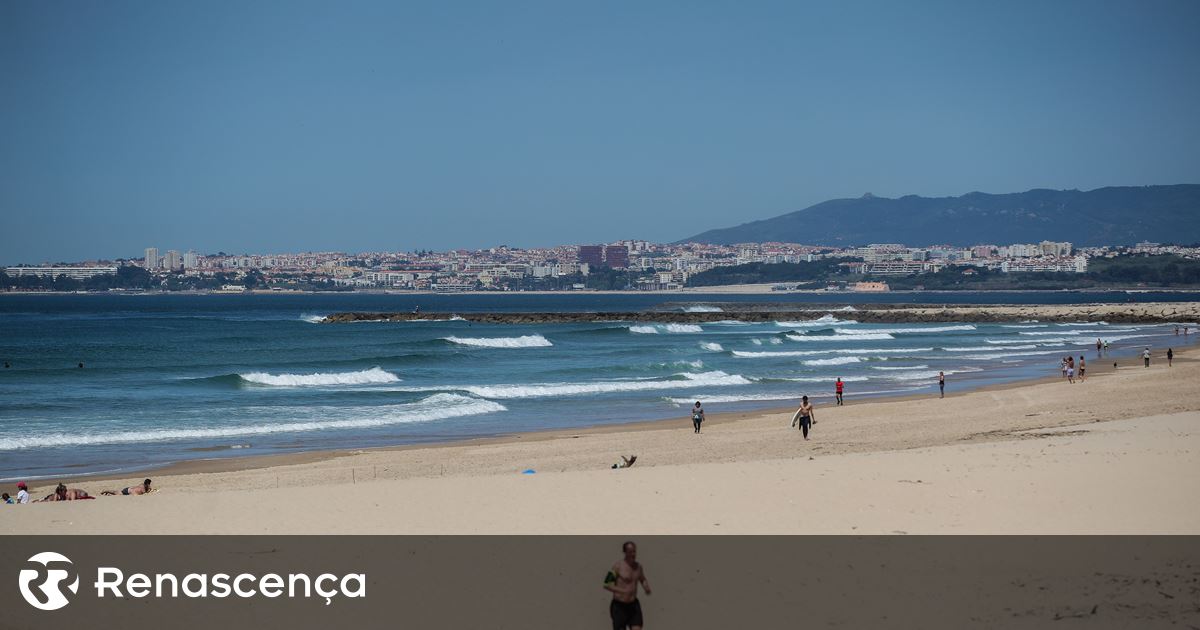 ASAE e Polícia Marítima constituem seis arguidos em empresas nas praias da Caparica