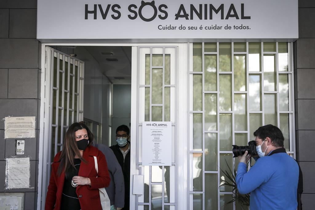 Marisa Matias na associação SOS Animal, em Lisboa. Foto: Rodrigo Antunes/Lusa
