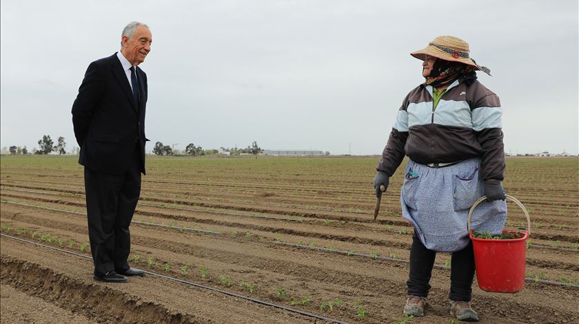 Marcelo Rebelo de Sousa visita a sementeira de tomate na Lezíria Grande de Vila Franca de Xira. Foto: Miguel A Lopes/Lusa