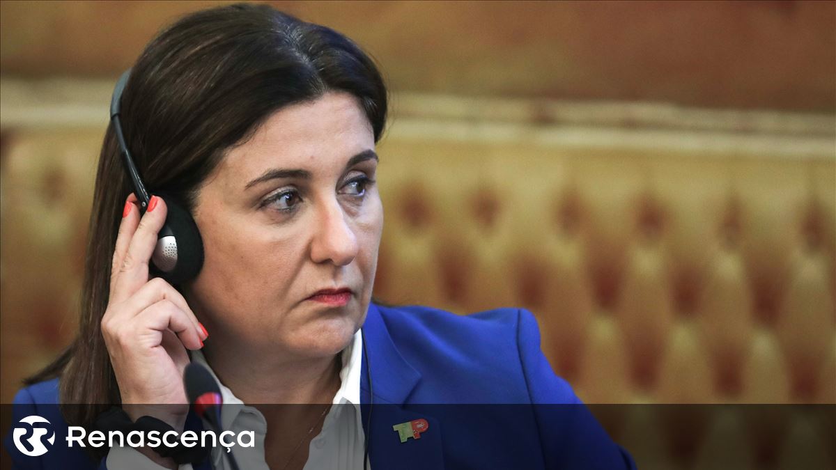 Presidente executiva da TAP ouvida no parlamento sobre indemnização a Alexandra Reis