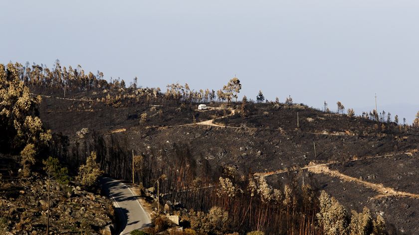 A Serra de Monchique foi afetada por um grande fogo em 2018. Foto: Joana Bougard/RR