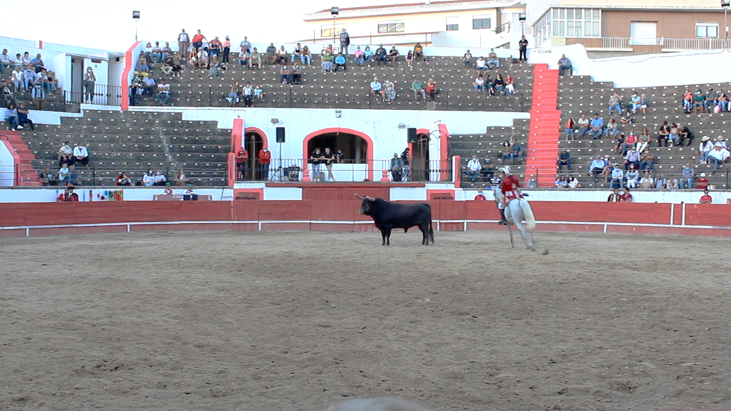 Corrida de touros na Espanha deixa sete feridos; veja vídeo