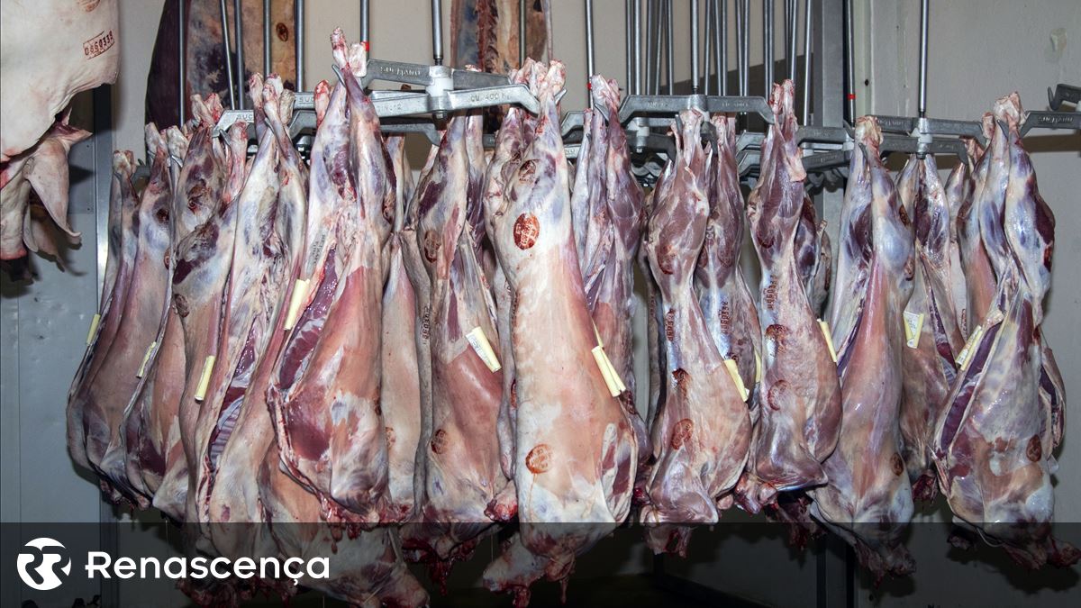 ASAE apreende 410 quilos de carne imprópria para consumo num talho em Barcelos