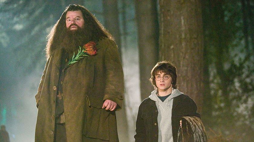 Robbie Coltrane como Hagrid na saga Harry Potter Foto: Divulgação