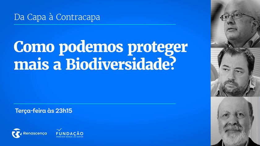 ​Como podemos proteger mais a Biodiversidade?