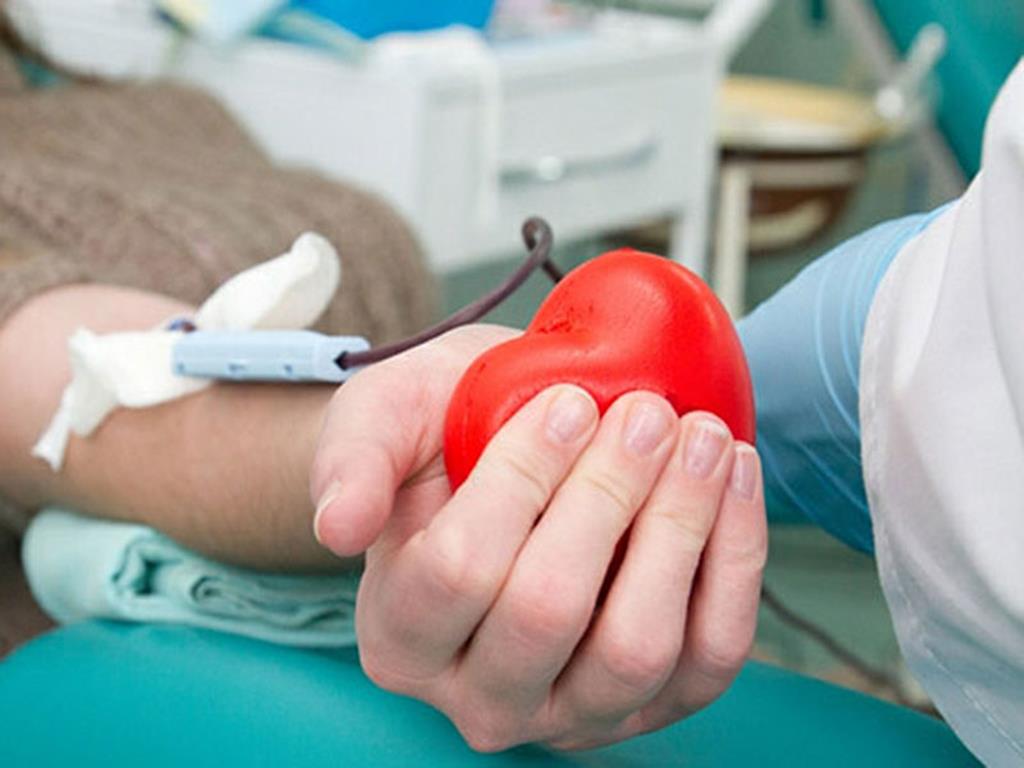 Dádivas de sangue podem ser agendadas online. Foto: DR