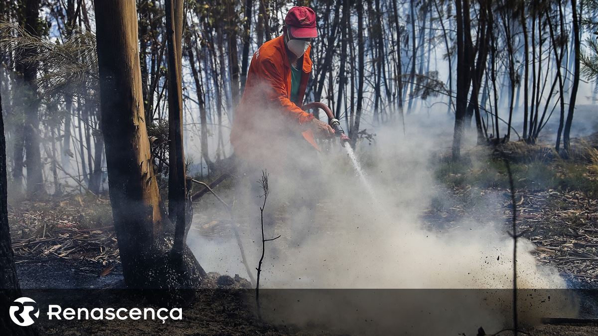 Bombeiros voluntários feridos em serviço: foram 252 desde 2022