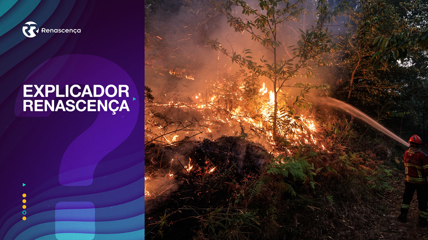 Incêndios. Que apoios é que o Governo está a planear e como vai evitar fraudes?