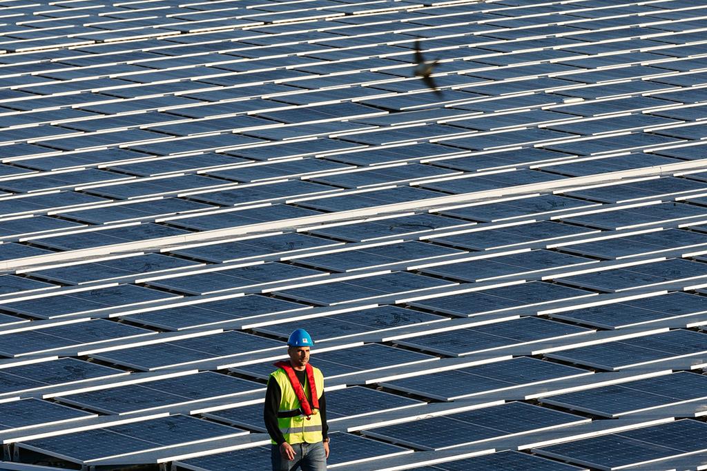 Em sete meses foram montados 12 mil painéis fotovoltaicos. Foto: EDP