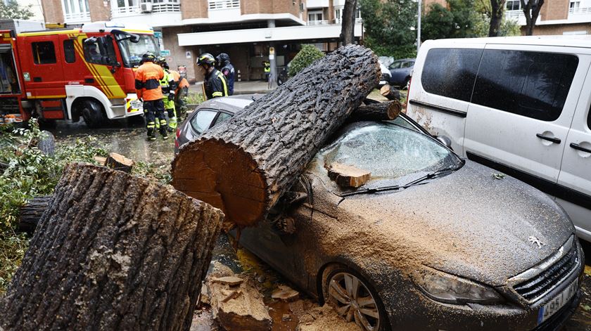 Queda de uma árvore em Madrid, devido ao mau tempo Foto: Rodrigo Jimenez/EPA