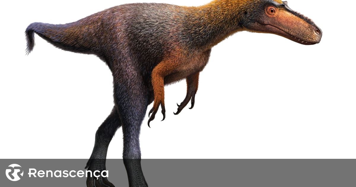 Novo dinossauro português com 130 milhões de anos descoberto no Cabo  Espichel - Renascença