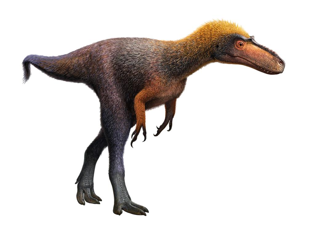 Descoberto novo dinossauro parecido com T-Rex; nome homenageia