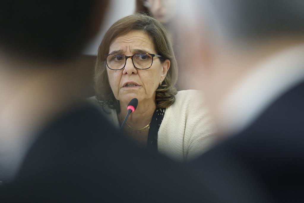 Maria João Araújo, diretora-geral do Tesouro e Finanças, ouvida na comissão parlamentar de inquérito à TAP. Foto: António Pedro Santos/Lusa