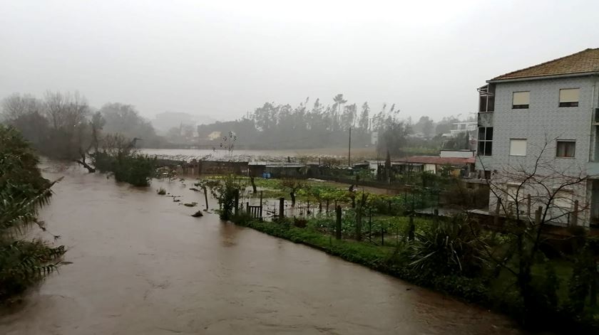 Rio Leça, na zona de Leça do Balio, galgou as margens e inundou os terrenos à volta. Foto: Eduarda Rocha