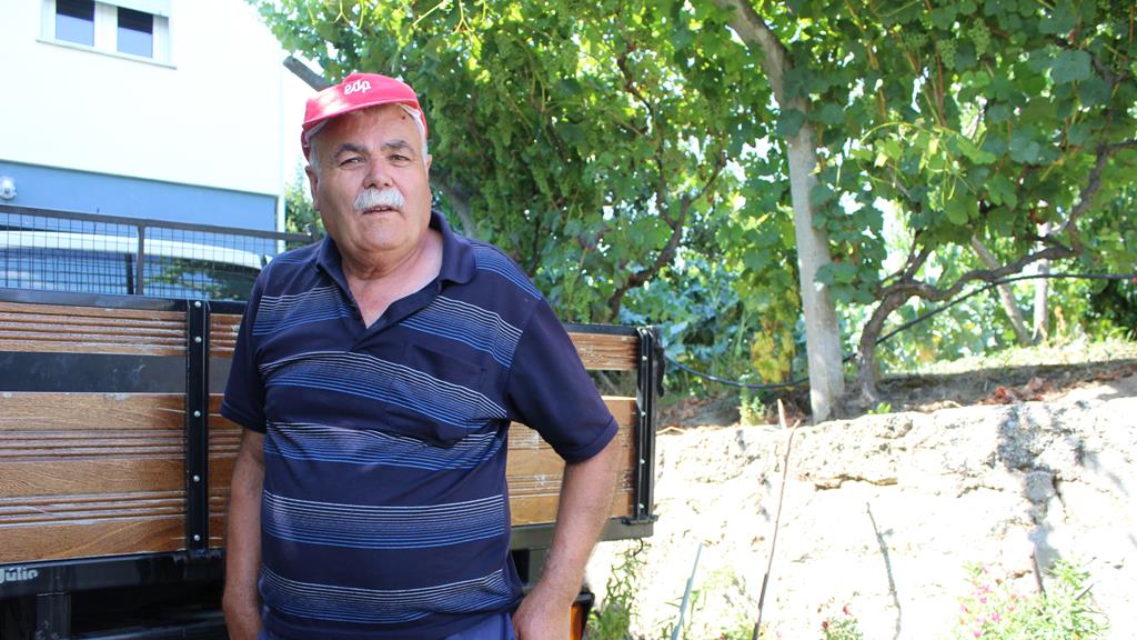 António Ribeiro tem 70 anos. É tesoureiro da União das Freguesias de Paradela e Granjinha. Foto: Liliana Carona/RR