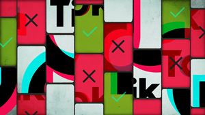Autoridades portuguesas já contactaram o TikTok. Os números da rede social