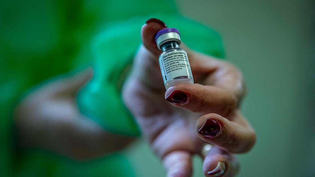 Vacina da Pfizer confere 95% de imunidade, segundo estudo israelita. Foto: Eduardo Costa/Lusa