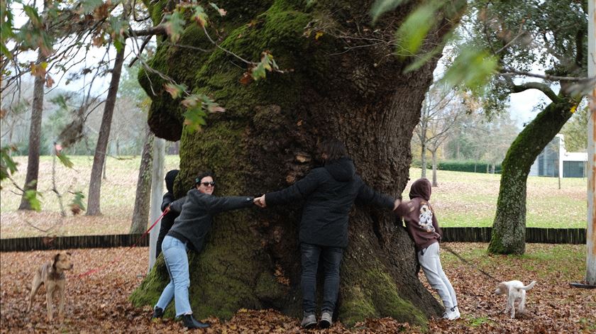 "Já abraçaste uma árvore hoje?" Foto: VERDE - Associação para a Conservação Integrada da Natureza