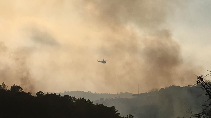 Incêndio em Aljezur, a 19 julho 2019. Foto: João Couto C.