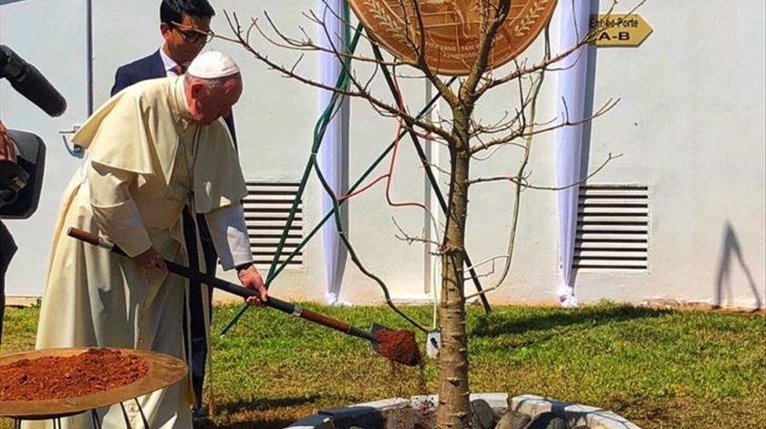 O Papa Francisco planta uma árvore durante uma visita ao Madagáscar. Foto: Aura Miguel/RR